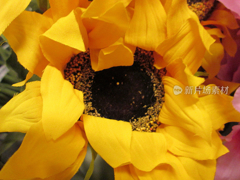 塑料/蚕丝向日葵(Helianthus annuus) /人造黄花图像